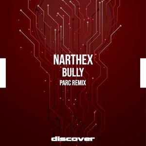 Bully (Parc remix) (Single)