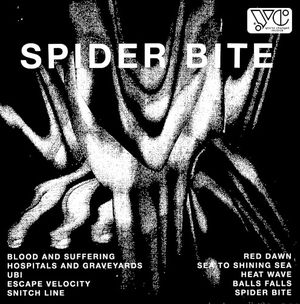 Spider Bite