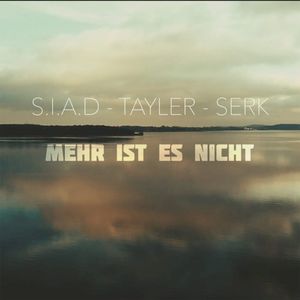 Mehr ist es nicht (Single)