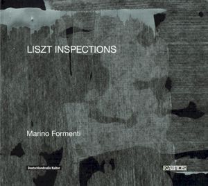 Liszt Inspections