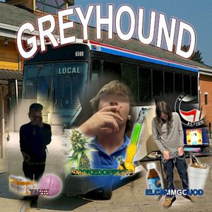 GREYHOUND