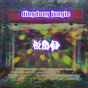 dingdong jungle (Single)