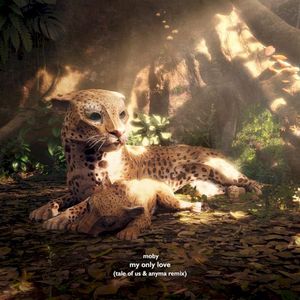 My Only Love (Tale of Us & Anyma remix)