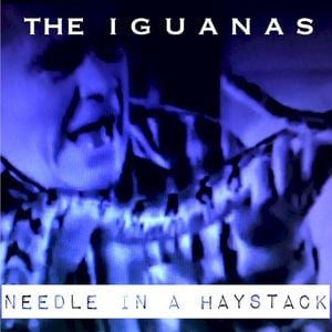 Needle in a Haystack (Single)