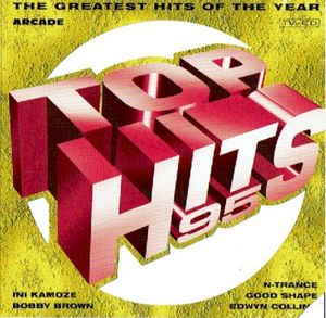 Top Hits 95 (The Greatest Hits of the Year)