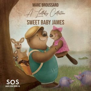 Sweet Baby James (Single)