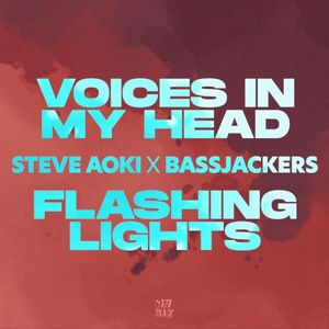 Voices In My Head / Flashing Lights (Single)