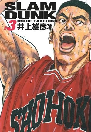 Slam Dunk (Perfect Edition), tome 3