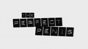 The Perfect Penis