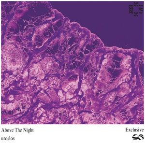 Above the Night (Single)