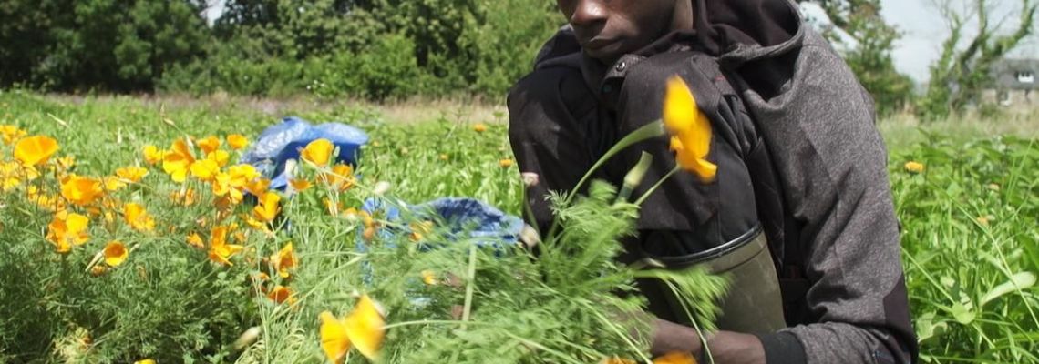 Cover Anaïs s'en va aimer