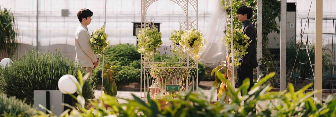 Cover Love Is Better the Second Time Around