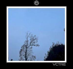Duffle Bag (Single)