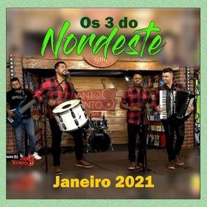 Ao Vivo - Janeiro de 2021 (Live)