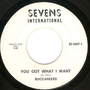 You Got What I Want (Single)