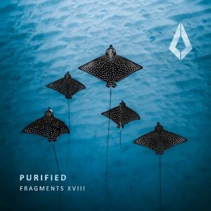 Purified Fragments XVIII (EP)