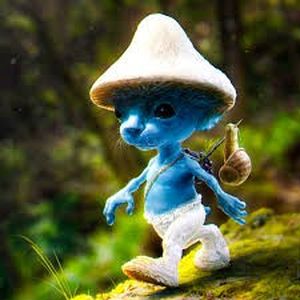 SMURF CAT (Single)