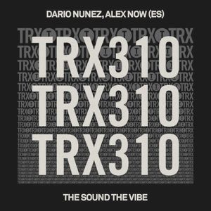 The Sound The Vibe (Single)