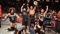 RAW 1619