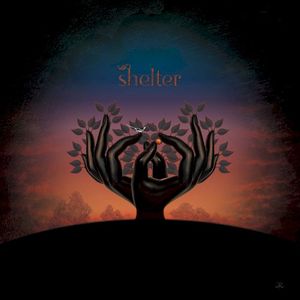 Shelter