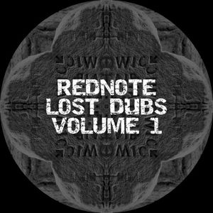 Lost Dubs Volume 1