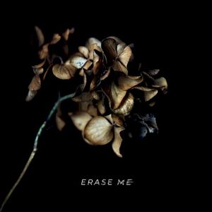 Erase Me (Single)