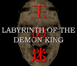 image-https://media.senscritique.com/media/000022155461/0/labyrinth_of_the_demon_king.jpg