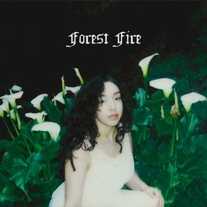 Forest Fire (Single)