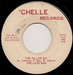 The Pillow Bit / It’s Trash (Single)