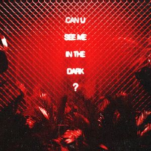 can u see me in the dark? (Single)