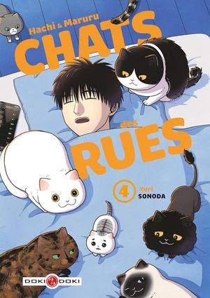 Hachi & Maruru : Chats des rues, tome 4