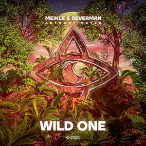 Wild One (extended mix) (Single)