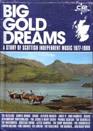 Big Gold Dreams: A Story of Scottish Independent Music 1977-1989