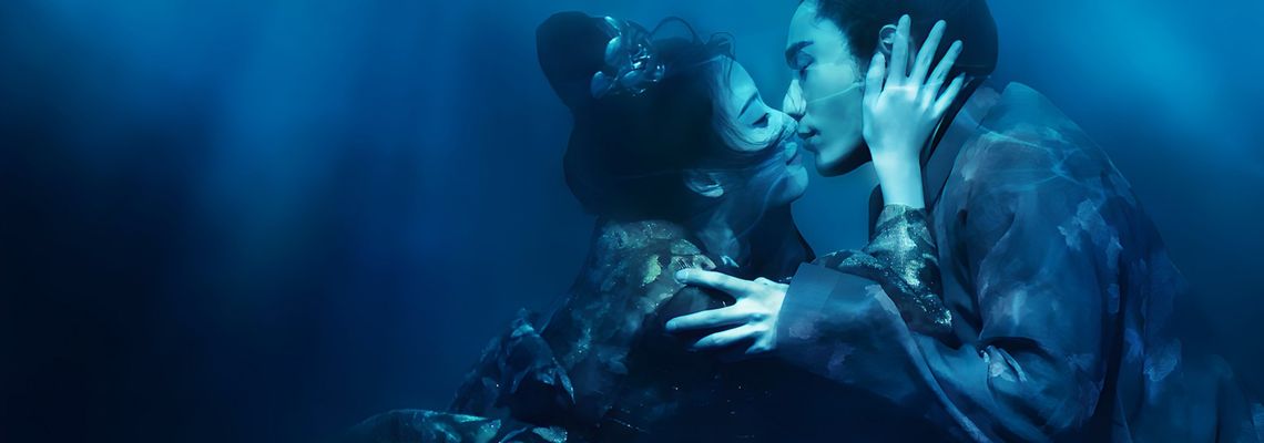 Cover The Rise of Phoenixes