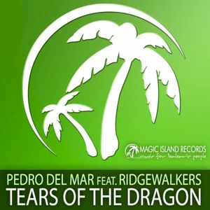 Tears of the Dragon (Mike Foyle remix)