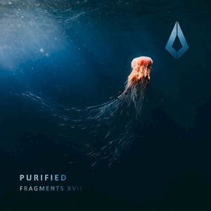 Fragments XVII (EP)