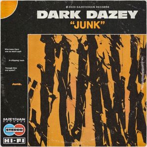 Junk (Single)