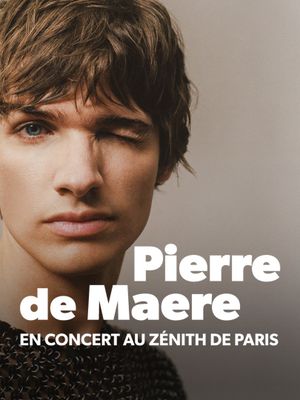 Pierre de Maere en concert au Zénith de Paris