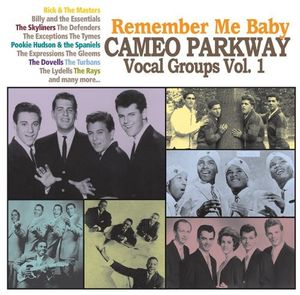 Remember Me Baby: Cameo Parkway Vocal Groups Vol 1.