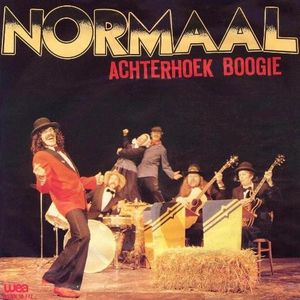 Achterhoek Boogie (Single)