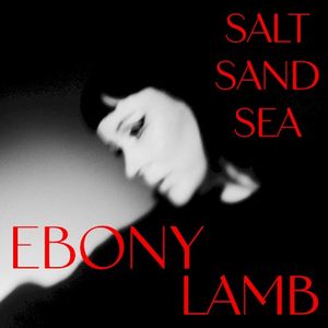 Salt Sand Sea (Single)