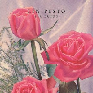 Bir Düşün (Single)