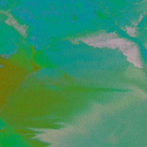 The Ghost Hawks of Hawker’s Bridge