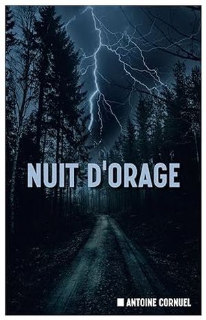 Nuit d'orage