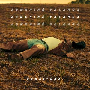 Asmeninė Palanga (Single)