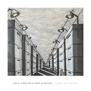 Slavery of the Bees (EP)