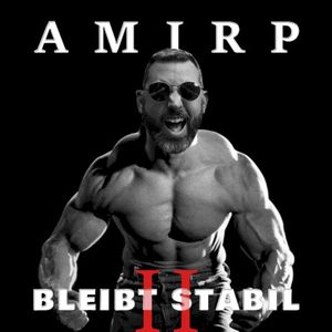 Bleibt stabil Vol. II (EP)