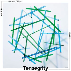 Tensegrity