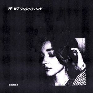 if we didn’t cry (Single)