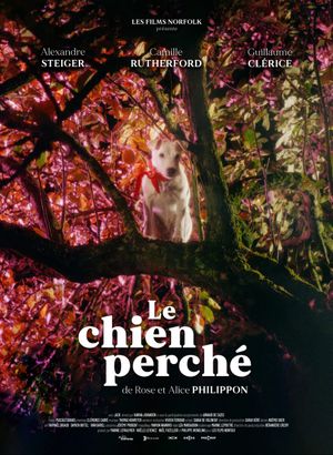 Le Chien Perché